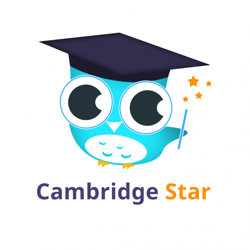 Cambridgestar SRL