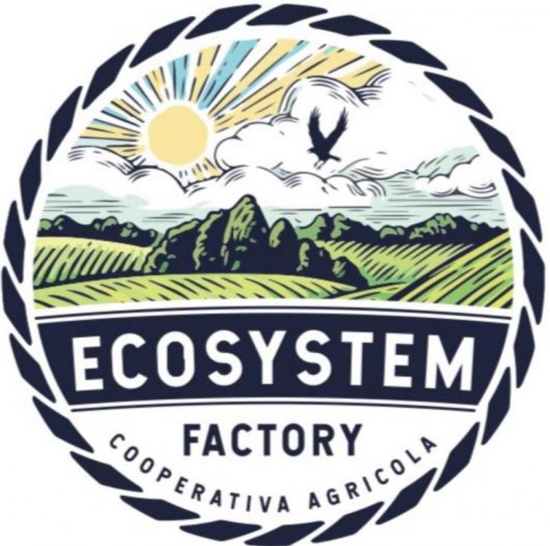 ECOSYSTEM FACTORY COOPERATIVĂ AGRICOLĂ