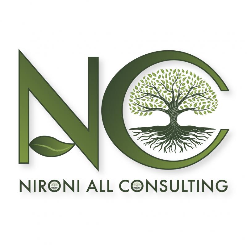 Nironi All Consulting