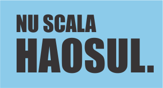 Nu Scala Haosul - programe sistematizare companii