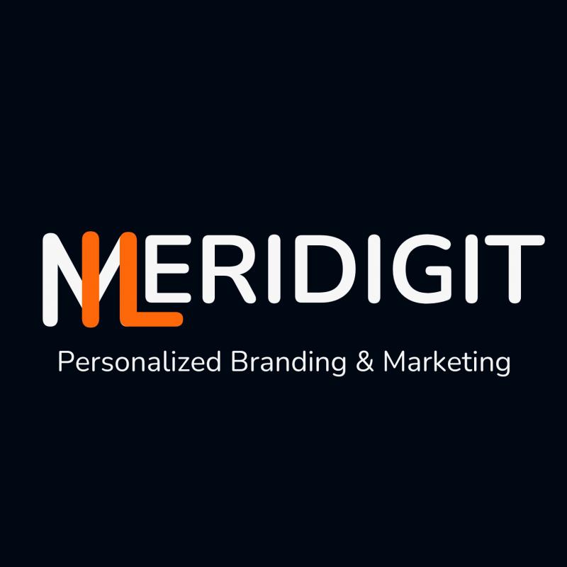 MERIDIGIT LTD