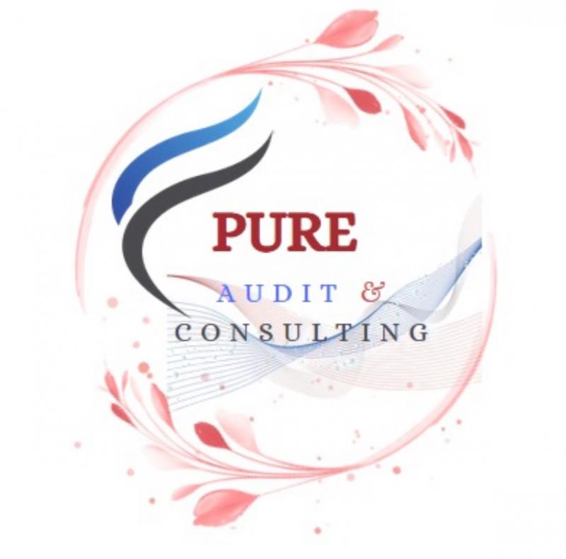 Pure Audit & Consulting