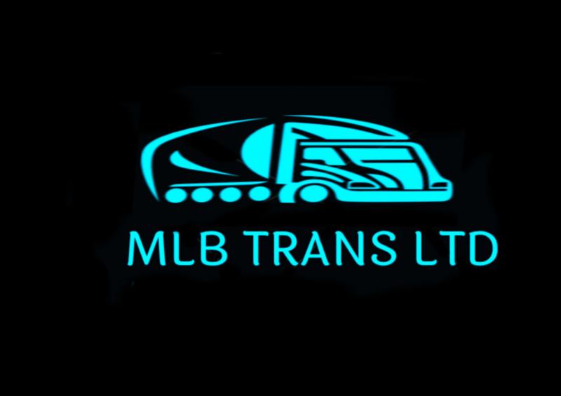 MLB TRANS LTD
