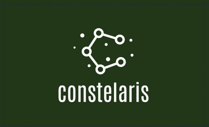  CONSTELARIS CONSULT SRL 