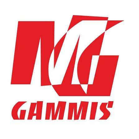 GAMMIS SRL