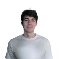Andrei  Bulzan 